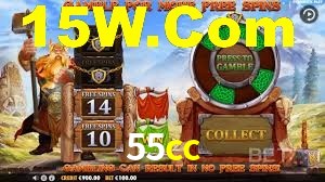 Premium Interface 55cc