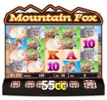 55cc login